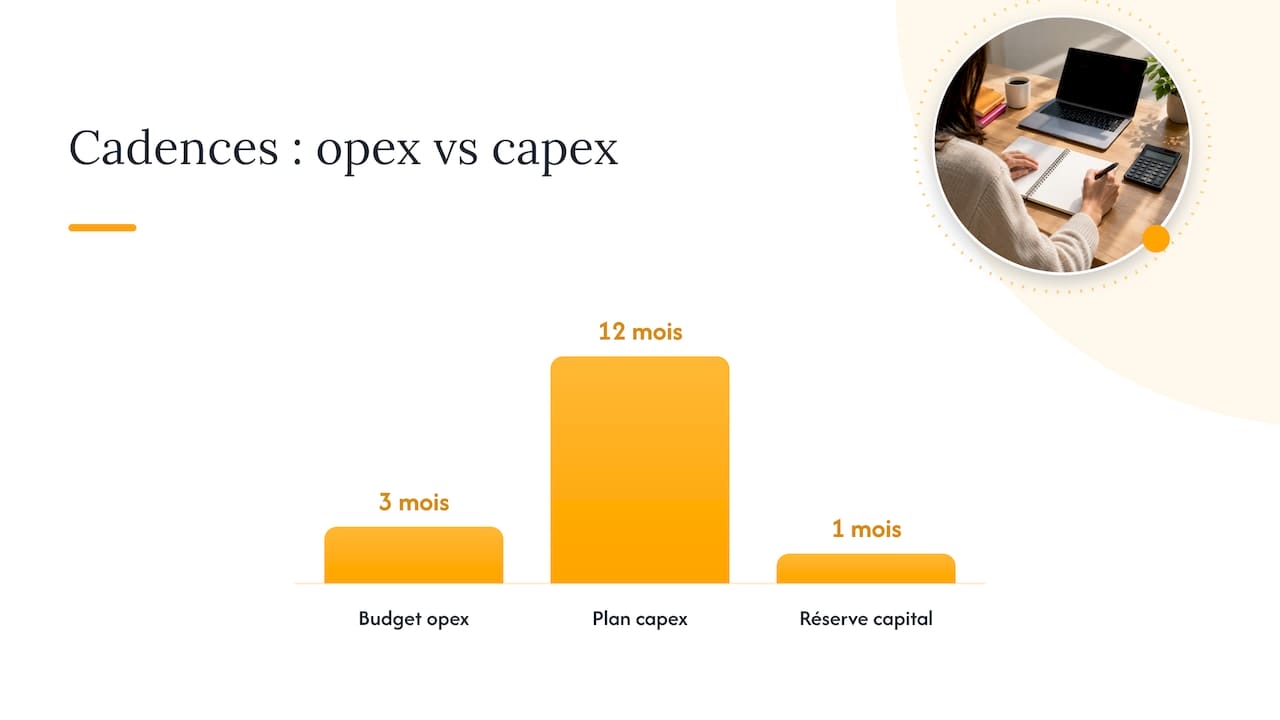 Comparaison entre budgets OPEX et CAPEX