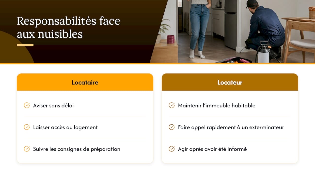 Qui est responsable des nuisibles : le locateur ou le locataire ? — overview diagram